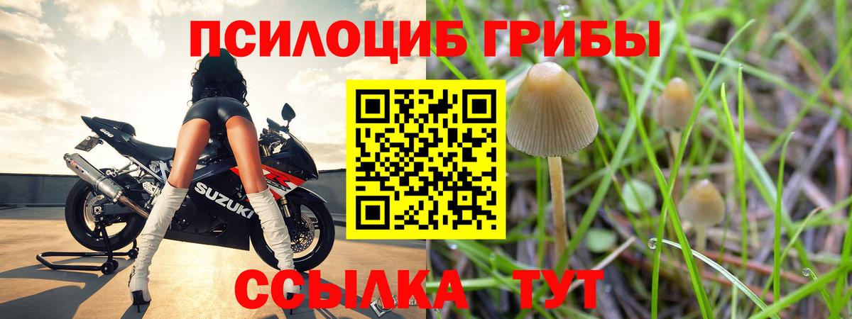 Галлюциногенные грибы Magic Shrooms  Вход с VPN  наркота  Тихвин  Галлюциногенные грибы Magic Shrooms 